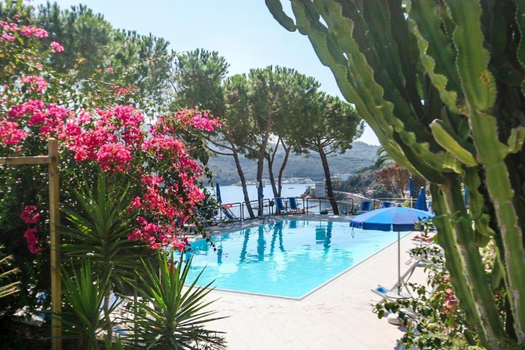 Appartamenti Residence Il Porto 13 E 16 阿祖罗港 外观 照片